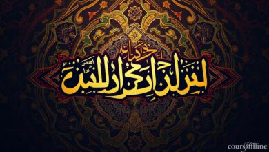 الباك الحر