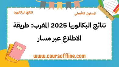 نتائج البكالوريا 2025 المغرب: طريقة الاطلاع عبر مسار