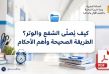 كيف يُصلّى الشفع والوتر؟ الطريقة الصحيحة وأهم الأحكام