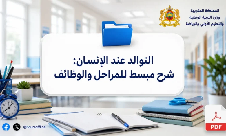 التوالد عند الإنسان: شرح مبسط للمراحل والوظائف 7 التوالد عند الإنسان: شرح مبسط للمراحل والوظائف