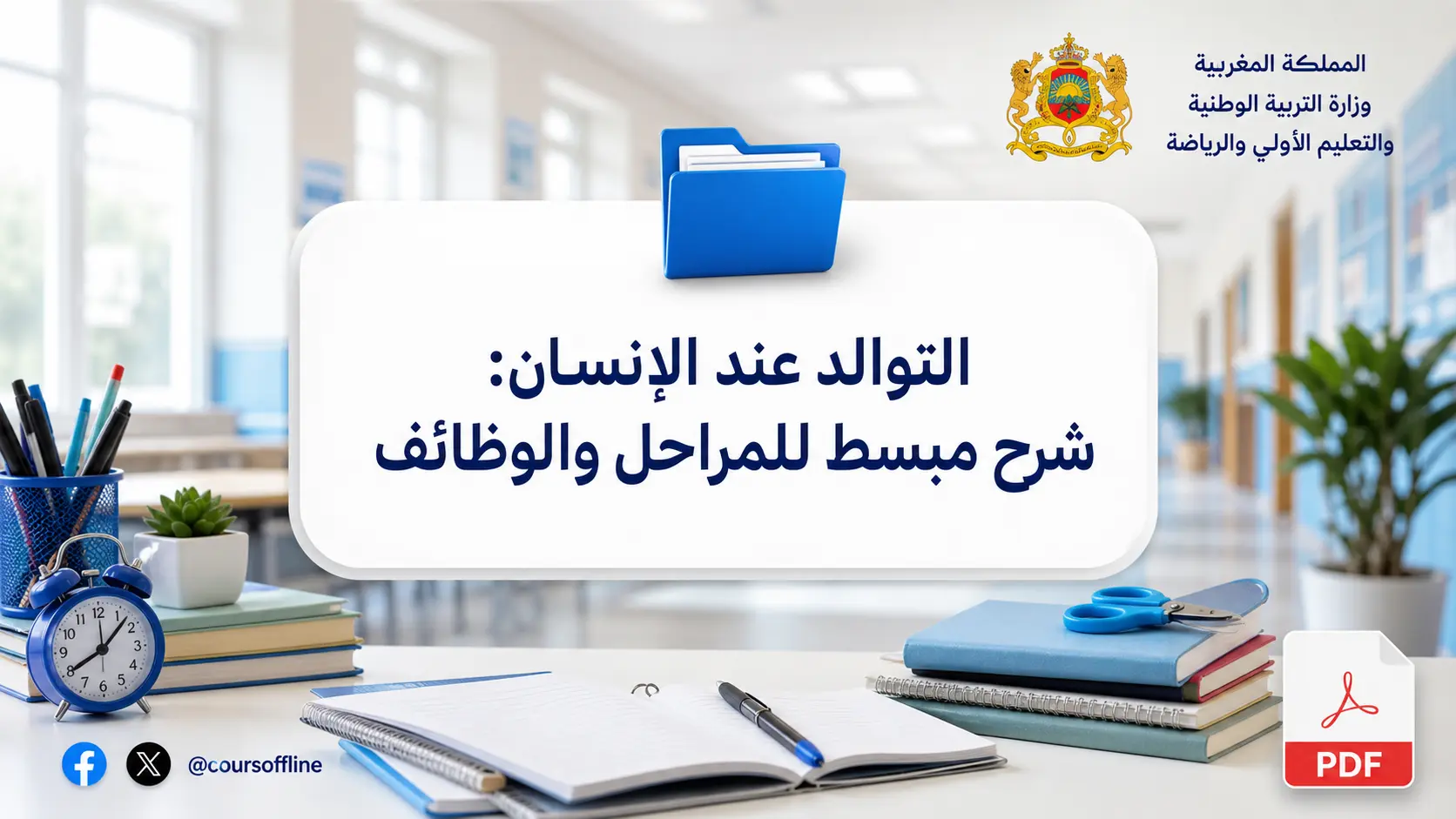 التوالد عند الإنسان: شرح مبسط للمراحل والوظائف