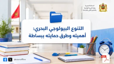 التنوع البيولوجي البحري: أهميته وطرق حمايته ببساطة 6 التنوع البيولوجي البحري: أهميته وطرق حمايته ببساطة