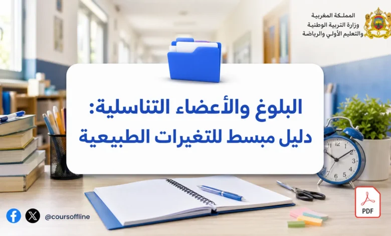 البلوغ والأعضاء التناسلية: دليل مبسط للتغيرات الطبيعية 8 البلوغ والأعضاء التناسلية: دليل مبسط للتغيرات الطبيعية
