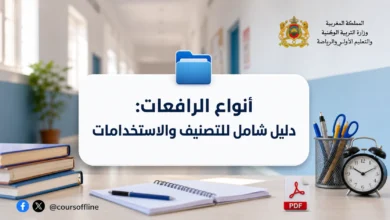 أنواع الرافعات: دليل شامل للتصنيف والاستخدامات 3 أنواع الرافعات: دليل شامل للتصنيف والاستخدامات