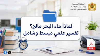 لماذا ماء البحر مالح؟ تفسير علمي مبسط وشامل 5 لماذا ماء البحر مالح؟ تفسير علمي مبسط وشامل