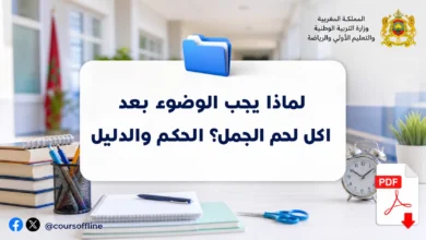 لماذا يجب الوضوء بعد اكل لحم الجمل؟ الحكم والدليل 4 لماذا يجب الوضوء بعد اكل لحم الجمل؟ الحكم والدليل
